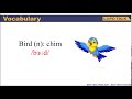 Birds and Their Characteristics
