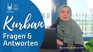 Warum gibt es unterschiedliche Kurban-Preise? | Eure Fragen beantwortet