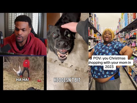 He Doesn't Bite 😂 -  Best Shorts Videos December 2023