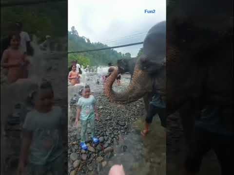 Watch 'the end'๐๐๐ #viral #funny #shorts #funnyfails