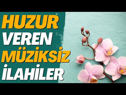 HUZUR VEREN MÜZİKSİZ İLAHİLER | EN GÜZEL İLAHİLER | #ilahi #müziksizilahidinle