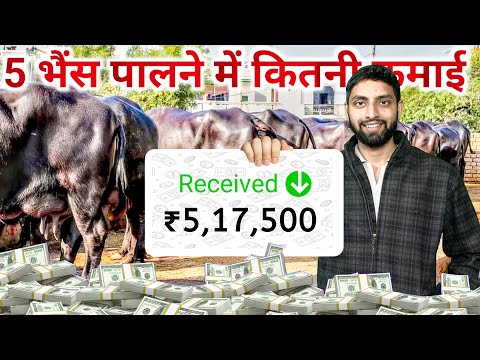 5 भैंस पालने में कितनी कमाई | Dairy Farming Business Plan