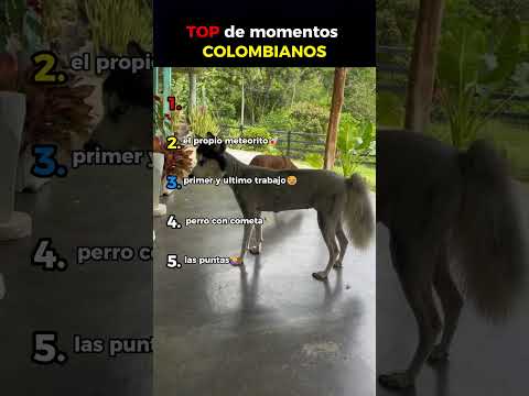 TOP MOMENTOS COLOMBIANOS😂🇨🇴 #humor #comedia #funny #memes