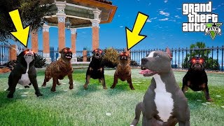 DOG TEACH US LOVE IN IT'S PUREST FORM IN GTA5 #gta #shorts #shortsfeed #siderman #magnetgamer