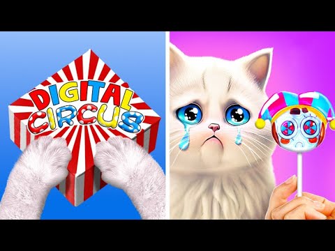Tiny Kitten Rescues Digital Circus?? Gadgets for Pet Owners