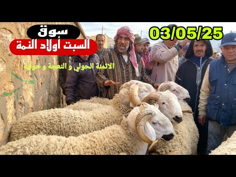 من سوق السبت أولاد النمة 3/5/25 مع تمن حولي و حولية و النعجة 🐑🐑🇲🇦فرجة ممتعة🇲🇦