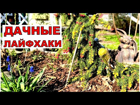 Дачные лайфхаки. Внуков заперли, чтобы не мешали работать. Рабочие выходные