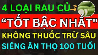 Bác Sĩ Mách 4 Loại Rau Quả Rẻ Tiền "Không THUỐC TRỪ SÂU" Lại BỔ NHƯ SÂM Siêng Ăn Thọ 100 TUỔI