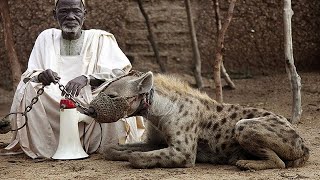 7 Animali Esotici E Pericolosi Che Le Persone Posseggono🐺