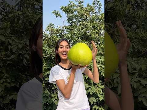 এত্ত বড় 😱বাতাবি লেবু কি কেউ আগে দেখেছো!?