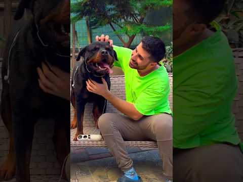 My HERO Dog Saved ME ! 🥰🐶