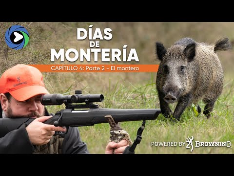 Días de Montería #4 | El Montero Parte 2 ✅ Cazamos SIETE JABALÍES en un puesto de cortadero