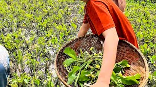 BLUSUKAN KE DAERAH PINGGIRAN BADUY KP.Cangketeuk lebak banten