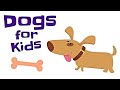 Dog Breeds and Characteristics