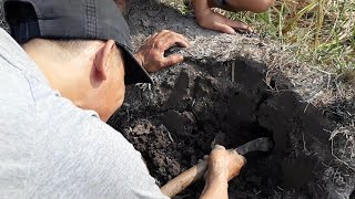 Đào một hang chuột thôi đi về cái gì mà ...