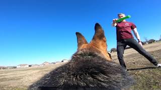 Dog Takes Control Of GoPro