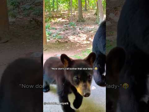 Iโm Honored:They Let Me Meet Their Little Ones.โค๏ธ#farm #animals #funnyanimal #funny #funnypet #love