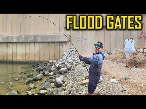 Never Know what You will Catch @ Texas City Flood gates!
