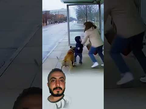 ููุณ ูู ุจุทู ูุฑุชุฏู ุฏุฑุนูุง ููุง ูู ู
ุญุจ ุฅูุณุงู.ุจุนุถูู
ู
ูุณูู ุจุงูููุฑุงุก ููููู ุฃุนุธู
ู
ู ุฃูู ุฅูุณุงู #youtubeshorts