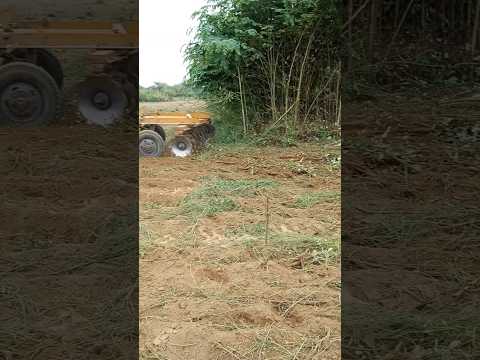 Máy cày John Deere Chạy cày phá lâm quá mạnh #shorts #shortvideo #youtube #youtubeshorts