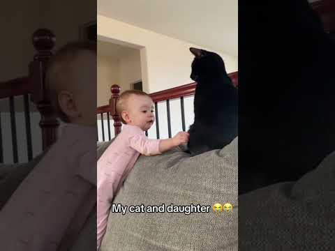 When the cat’s had enough of toddler antics…