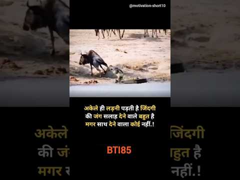 अकेले ही लड़नी पड़ती है जिंदगी की जंग 🔥💯 #bollywood #motivation #shortsfeed #viralshorts