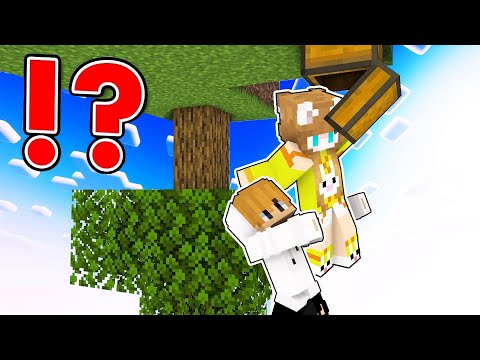 SkyBlock But It Is Upside Down - YaGee Minecraft