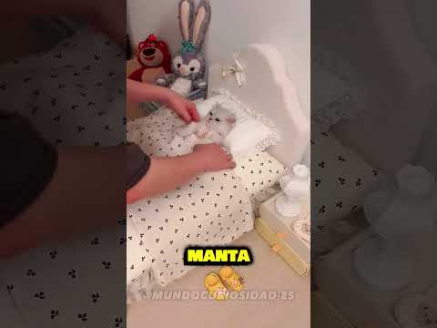 Gatita Mia esta TRISTE ? #shorts