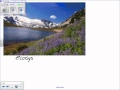 Ecology Concepts and Ecosystem Dynamics