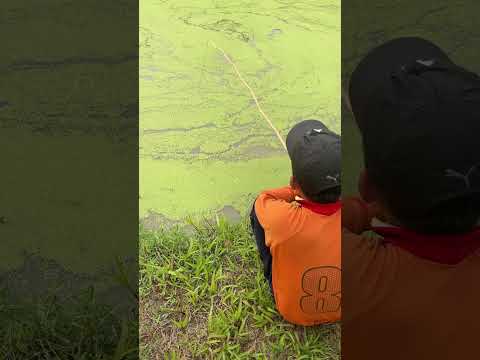 Amazing Fishing Video