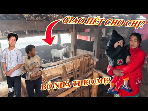 Sốc! Em Nô bỏ lại nhà cửa, giao hết vật nuôi cho chị dâu theo mẹ làm điều này.