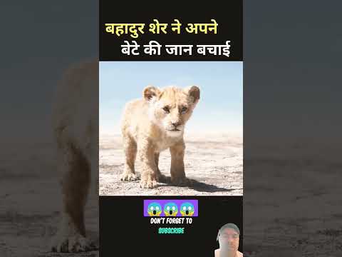 #amazingfacts #factsinhindi #animals #wildlife #subscribe #channel