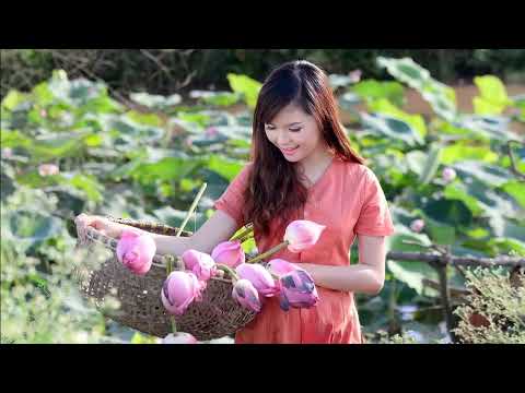 王建榮  若紅塵沒有了你 MTV