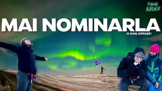 COLEI CHE NON DEVE ESSERE NOMINATA - Finding Aurora 🇮🇸