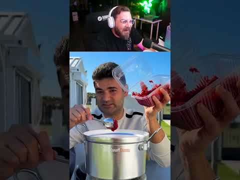 Elraenn | Dublajlı Hatay Sandık İçi İzliyor!!