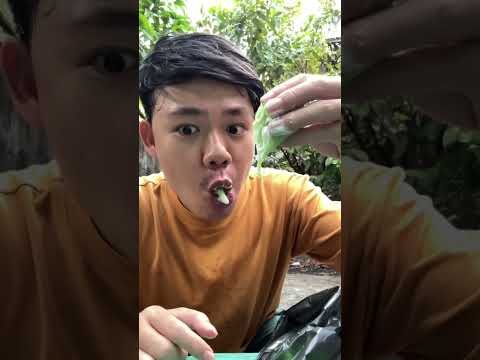 Tanam mochi