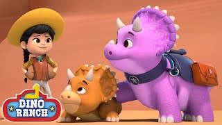 No tengas miedo, ¡la ayuda está aquí! | Dino Ranch Español