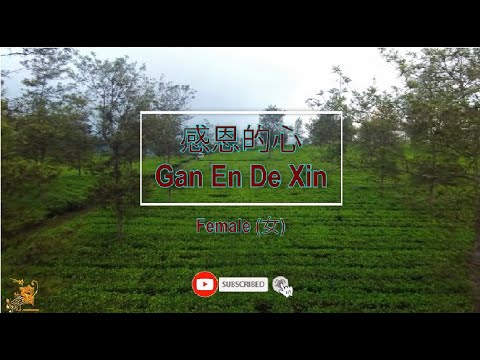 感恩的心 (Gan En De Xin) Female Version – Karaoke mandarin with drone view