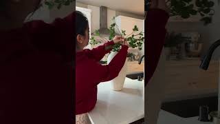 Pt. 2 taking down Christmas