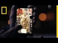 Understanding the Video Transcript
