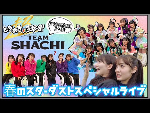 [Scream! ! ] TEAM SHACHI and Cho Tokimeki ♡ Sendenbu enjoy Kijima Kogen Park 🎢💕 Plenty of behind the scenes of the spring Stardust special live released 🌟 TEAMSHACHI Super Tokisen Shachi Tokisenjojima, Oita Prefecture