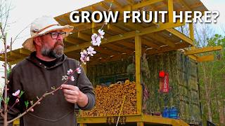 Simple Living in the Ouachita Mountains I Off-Grid Fruit Trees & Rainwater Harvesting