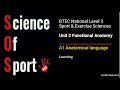 Anatomical Directional Terms and Positions