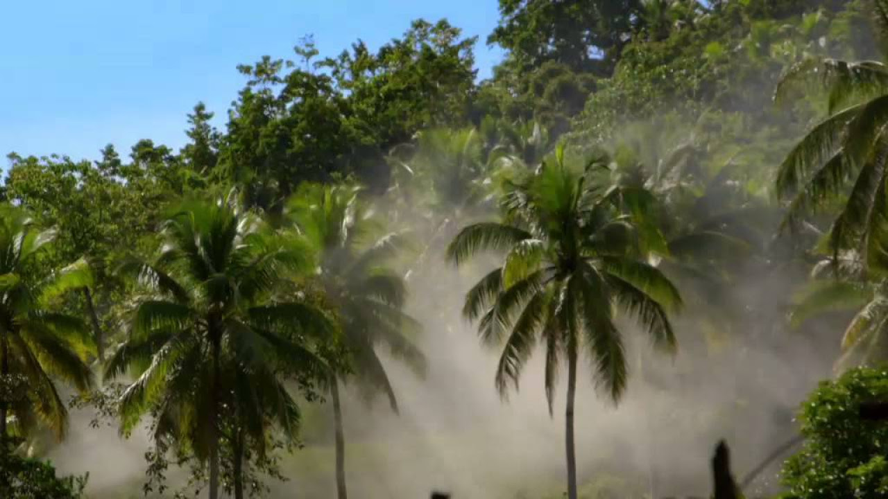 Ben Fogle: New Lives In The Wild Trailer thumbnail