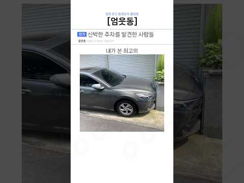 신박한 주차를 발견한 사람들ㅋㅋ