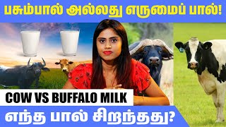 "பசும்பால் அல்லது எருமைப் பால்! எந்த பால் சிறந்தது? Cow Vs Buffalo Milk" |@HealthReel