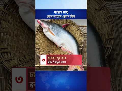 পাঙ্গাস মাছ খেলে শরীরে কি ঘটে #HealthTips