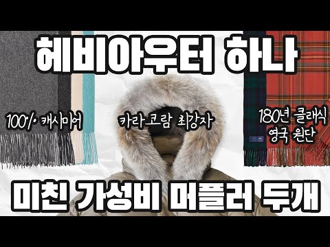 겨울엔 가성비 좋은 머플러 코디가 개꿀입니다