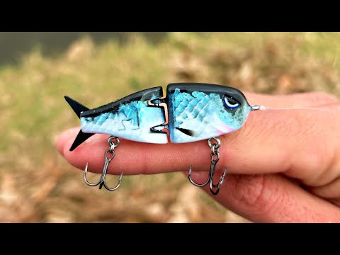 TINY SWIMBAIT catches 8 POUNDER!