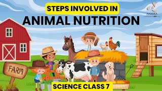 Steps Involved in Animal Nutrition | Nutrition in Animals | Science Class 7 | NCERT | CBSE | AASOKA